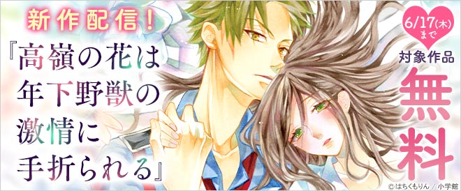 新作配信!メルトフェア