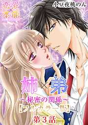 姉×弟～秘密の関係～【フルカラー版】