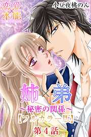 姉×弟～秘密の関係～【フルカラー版】