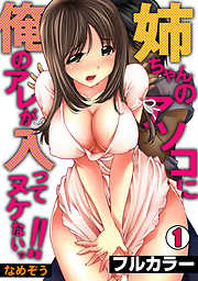 姉ちゃんのアソコに俺のアレが入ってヌケないっ！！【フルカラー】(1)