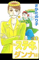 私のステキなダンナ様　3巻