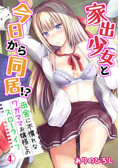 家出少女と今日から同居!?～田舎に不慣れなワガママお嬢様とのスローライフ～（４）