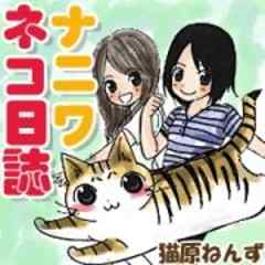 ナニワネコ日誌