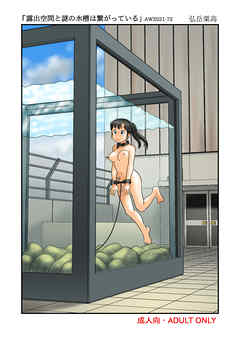 露出空間と謎の水槽は繋がっている