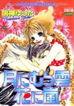 月にむら雲　花に嵐