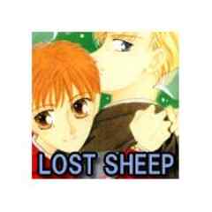 LOST SHEEP