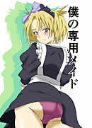 僕の専用メイド5