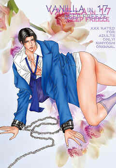 VANILLA 17