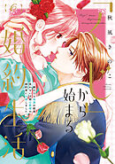 しーちゃんとねこ（1） - たかなししずえ - 女性マンガ・無料