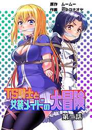 TS騎士と女装メイドの大冒険