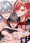 転生したので強制発情魔法で世界平和を目指します【デジタル修正版】2