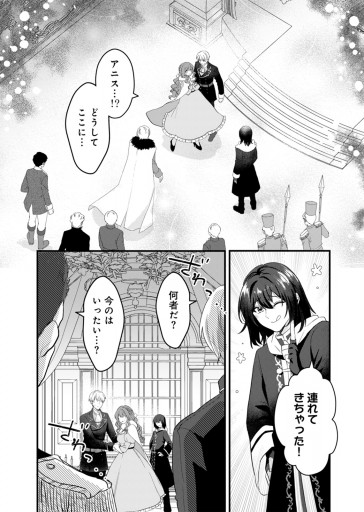 氷の侯爵様とかりそめの花嫁～子づくりしたら離婚のはずが、なぜ