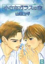 小さなガラスの空