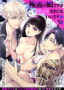 極道の娘ですが溺愛されてもいいですか?【デジタル修正版】3