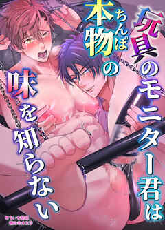 玩具のモニター君は本物の味を知らない