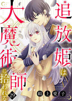 追放姫は大魔術師に拾われる（２９）