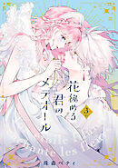 【特装版】花秘める君のメテオール（3）【ブックライブ&ブッコミ限定描き下ろしイラスト付き】