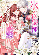 【特装版】氷の侯爵様とかりそめの花嫁～愛のない王命婚なのに、なぜか溺愛されてます～（６）【描き下ろしイラスト付き】