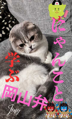 にゃんこと学ぶ岡山弁（１）