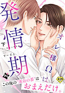 【18禁特装版】オレ様Ωは発情期下【特典付き】【ブックライブ&ブッコミ限定描き下ろしマンガ付き】