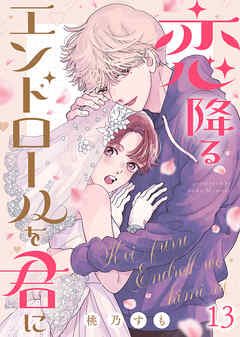 恋降るエンドロールを君に（１３）