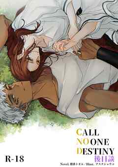 CALL NO ONE DESTINY　後日談