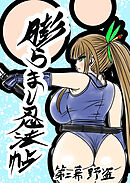 膨らまし忍法帖第二幕 野盗