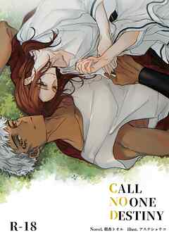 CALL NO ONE DESTINY