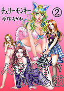 人妻日記かわら版(2)