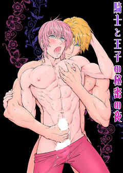 騎士と王子の秘密の夜