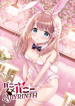 ミニ画集 バニー×バニー Labyrinth