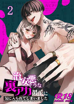 治安悪そうな裏アカ男子に気に入られてしまいました【R-18版】2