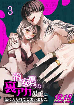 治安悪そうな裏アカ男子に気に入られてしまいました【R-18版】3