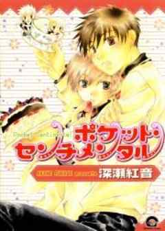 ポケット・センチメンタル