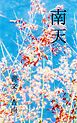 南天