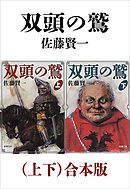 王妃の離婚 佐藤賢一 漫画 無料試し読みなら 電子書籍ストア ブックライブ