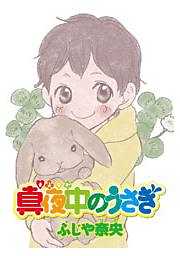 真夜中のうさぎ