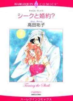 シークと婚約？