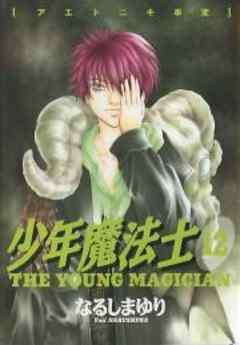 少年魔法士