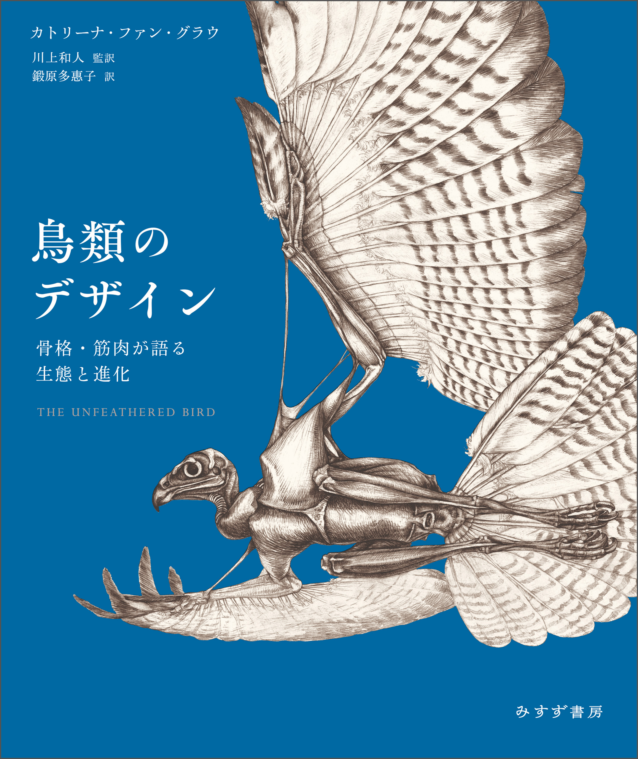 トリノトリビア 鳥類学者がこっそり教える野鳥のひみつ - その他