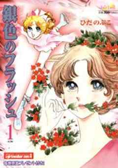 銀色のフラッシュ