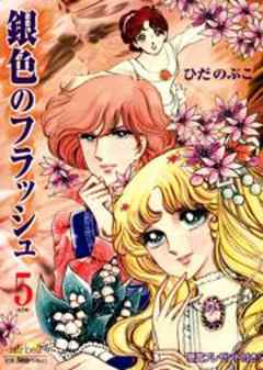 銀色のフラッシュ