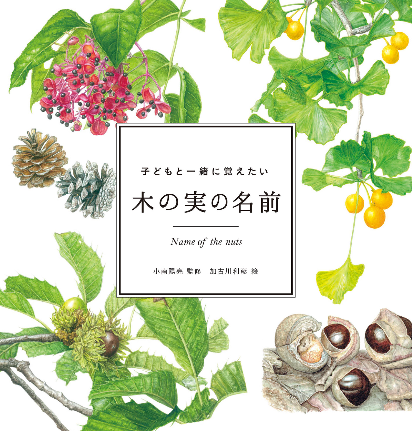 子どもと一緒に覚えたい 木の実の名前 小南陽亮 加古川利彦 漫画 無料試し読みなら 電子書籍ストア ブックライブ