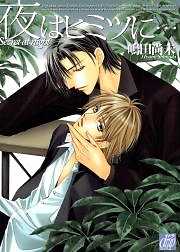 夜はヒミツに…