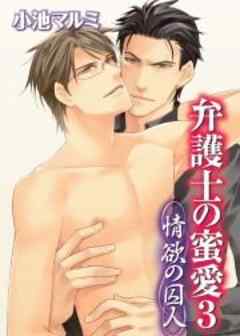 弁護士の蜜愛