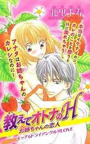 教えてオトナのH～お姉ちゃんの恋人～