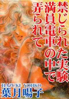 禁じられた実験　満員電車の中で弄られて