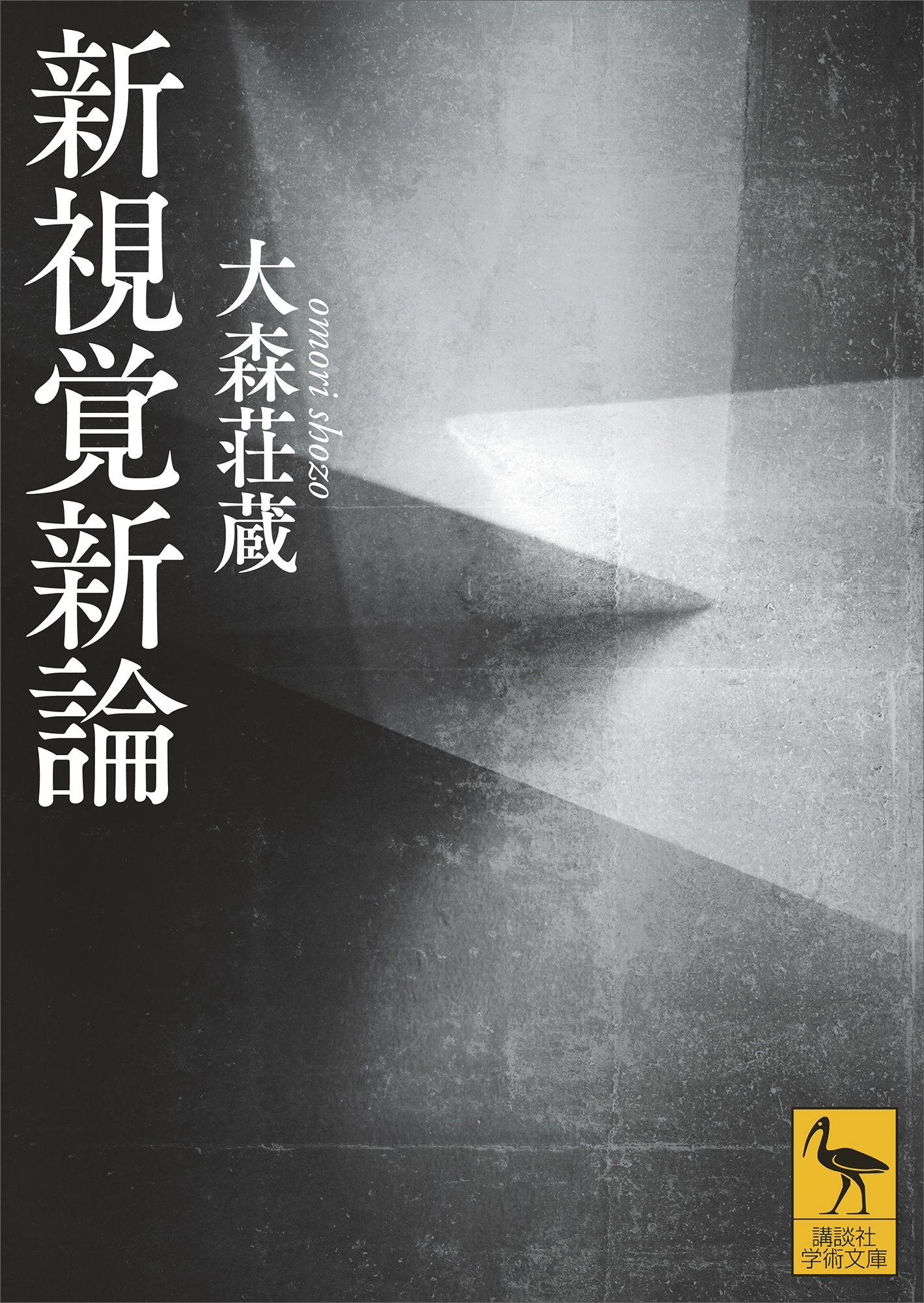 新視覚新論 大森荘蔵 野家啓一 漫画 無料試し読みなら 電子書籍ストア ブックライブ