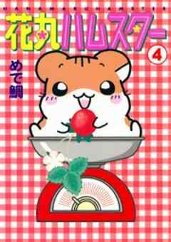 花丸ハムスター