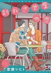 別れさせ屋の恋